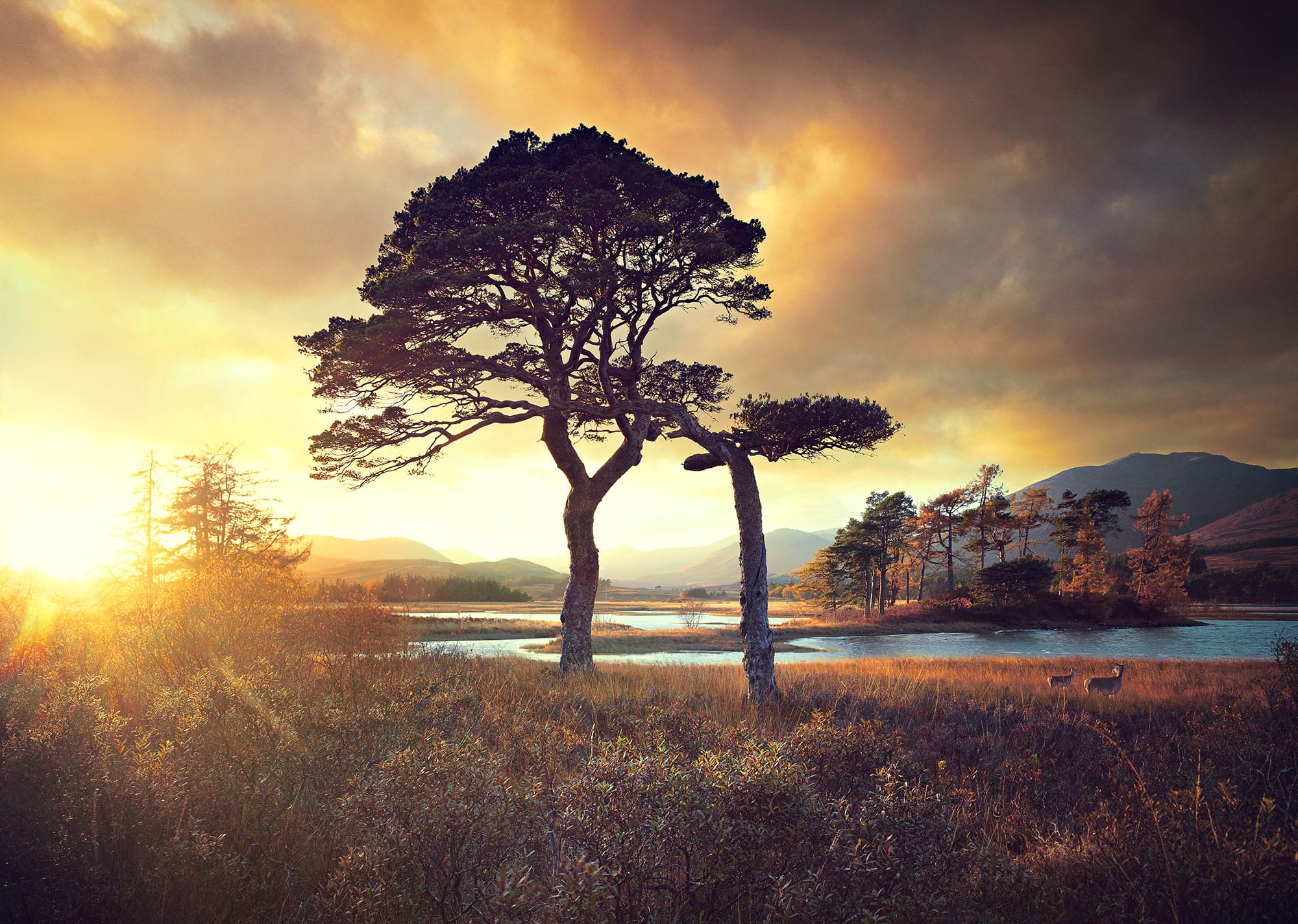 Behind the Lens…5 Curious Minutes with Andy Glass