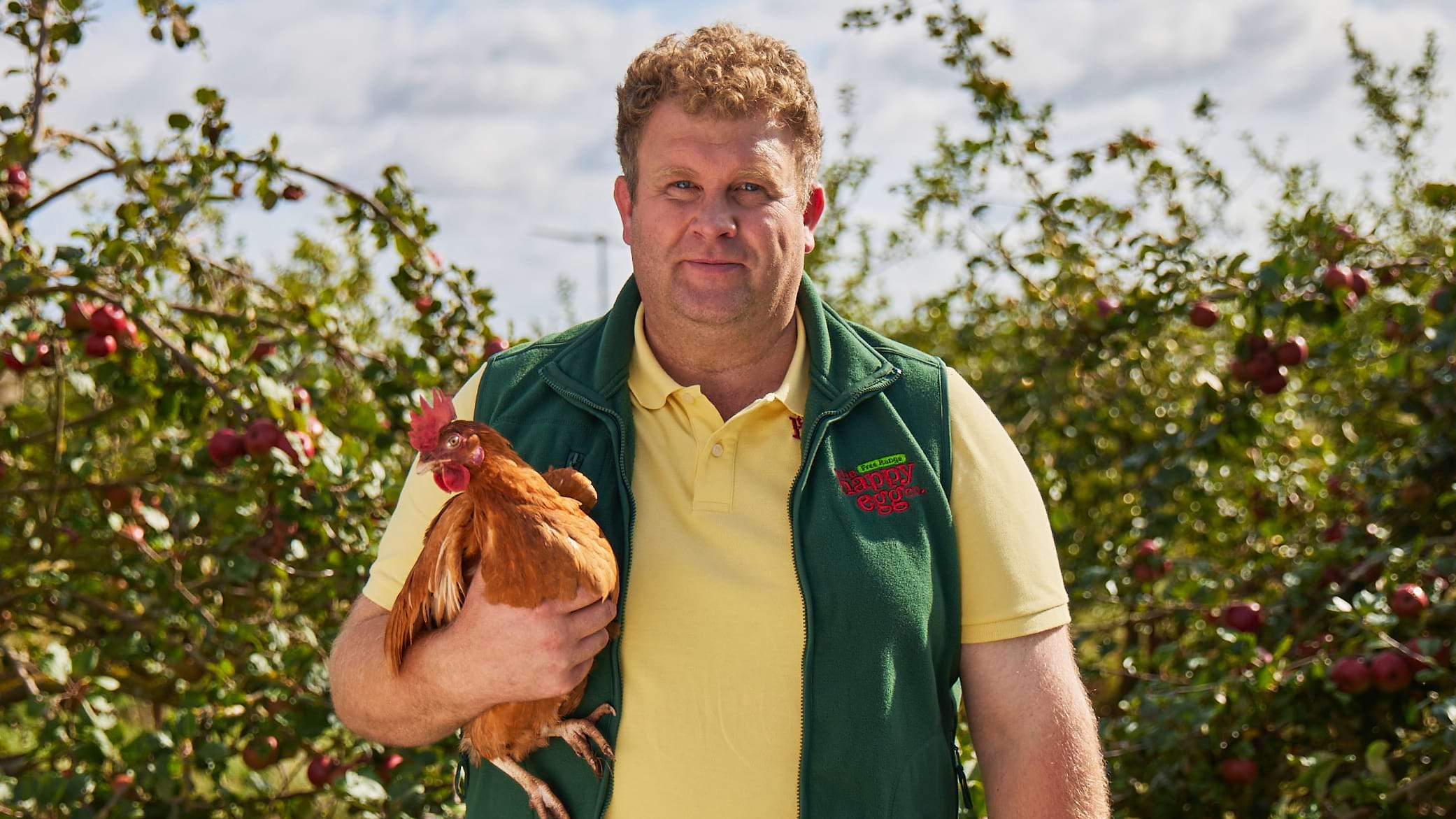 Happy Eggs…The Breakdown